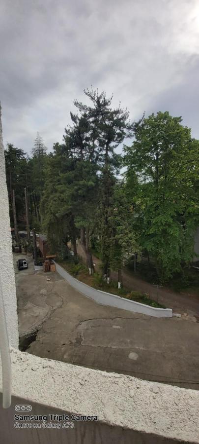 Студия Радуга У Моря Колхида Batumi Bagian luar foto